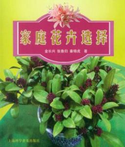 家庭花卉選擇 家庭花卉選擇