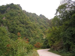 紅河谷森林公園