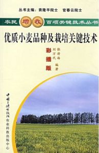 優質小麥品種及栽培關鍵技術