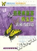《茄果類蔬菜病蟲害識別與防治》