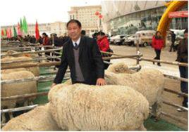 王建國[內蒙古農業大學副研究員]