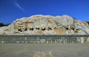 北京西山國家森林公園 北京西山國家森林公園