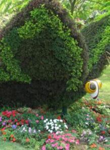 青春與夢想[小說名稱]