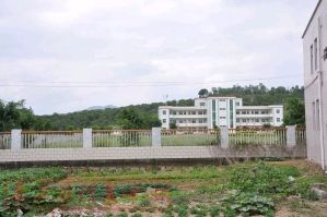 白沙湖村 白沙湖村