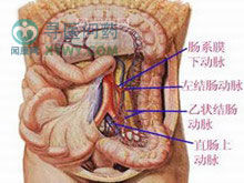 小兒原發性腹膜炎