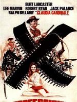 《職業大賊》 《職業大賊》