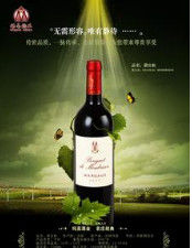 法國葡萄酒 法國葡萄酒