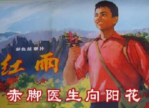 《赤腳醫生向陽花》