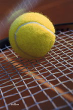 網球和網球拍