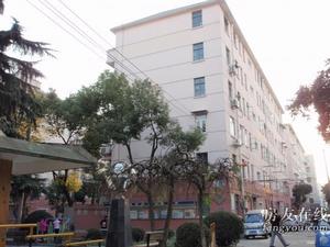 馬橋西街70弄小區 馬橋西街70弄小區