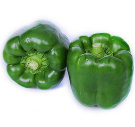 青椒[茄科植物名]