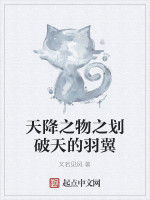 天降之物之劃破天的羽翼