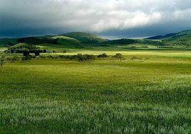 2011張北草原音樂節