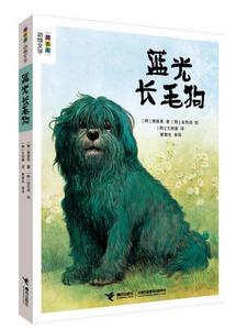 藍光長毛狗 藍光長毛狗