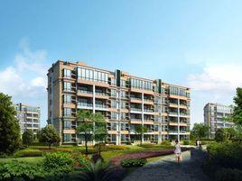 虹橋一號 虹橋一號