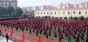 上海市呼瑪中學 上海市呼瑪中學