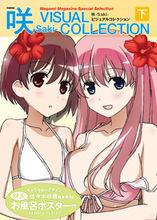 天才麻將少女·阿知賀篇 episode of side-A[Studio五組改編的電視動畫]