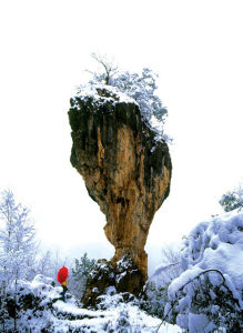 鼓城山自然保護區 鼓城山自然保護區