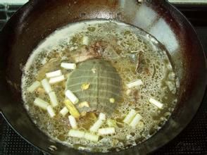 鱉肉滋陰湯 鱉肉滋陰湯