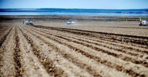土地適度規模經營 土地適度規模經營