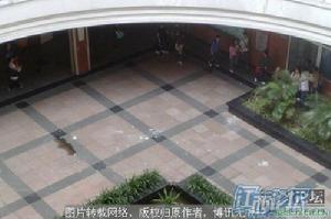 暨南大學跳樓現場3