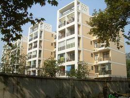 拿鐵公寓 拿鐵公寓