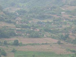 花椒樹村[雲南省大理市雲龍縣長新鄉花椒樹村]