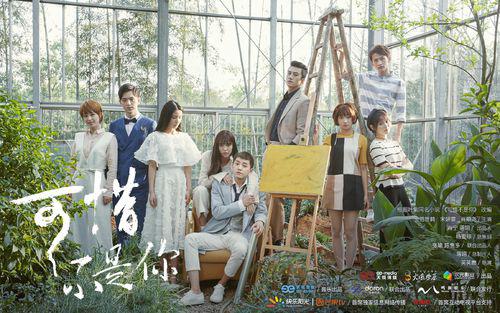 可惜不是你[2017年英英鹿執導的電視劇]