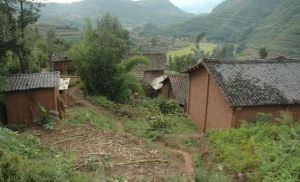 小蒜沖村 小蒜沖村