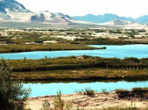 布日敦沙漠 布日敦沙漠