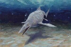 破解魚龍死亡之謎(圖) 破解魚龍死亡之謎(圖)