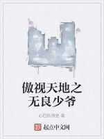 傲視天地之無良少爺