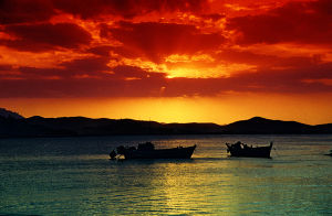 青島經濟技術開發區