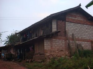 波蘿林村 波蘿林村