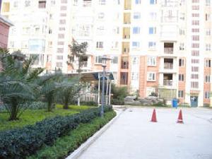 生活名著 生活名著