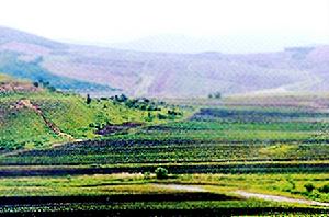 炮台山古城遺址 炮台山古城遺址