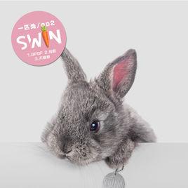 我敢[SWINEP2專輯歌曲]