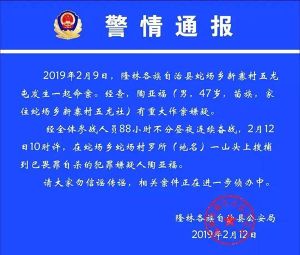 2·9廣西百色隆林命案 2·9廣西百色隆林命案