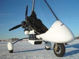 動力三角翼 動力三角翼