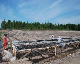 十八站林業局 十八站林業局