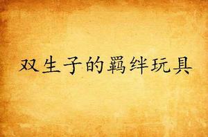 雙生子的羈絆玩具 雙生子的羈絆玩具