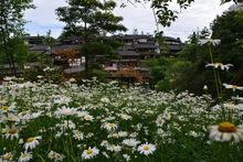 七里坪旅遊度假區（李代華攝）