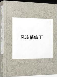 風流俏家丁 風流俏家丁