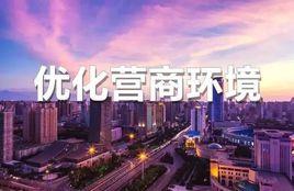 中國城市營商環境報告2018 中國城市營商環境報告2018