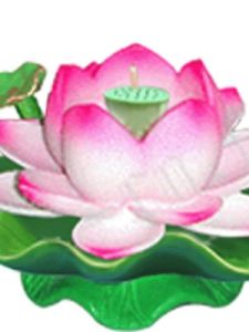 蓮花寶典 蓮花寶典