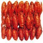 加莉娜風味小龍蝦