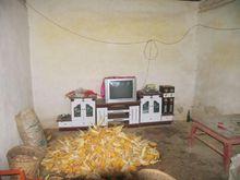 雙梨樹村---家用電器設施