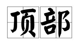 頂部 頂部