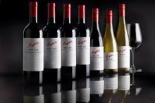 奔富酒莊出產的葡萄酒