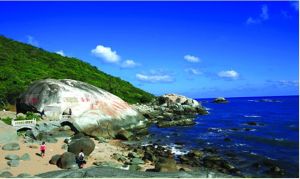 中國椰樹海岸 中國椰樹海岸